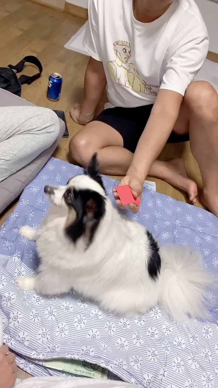 @jju