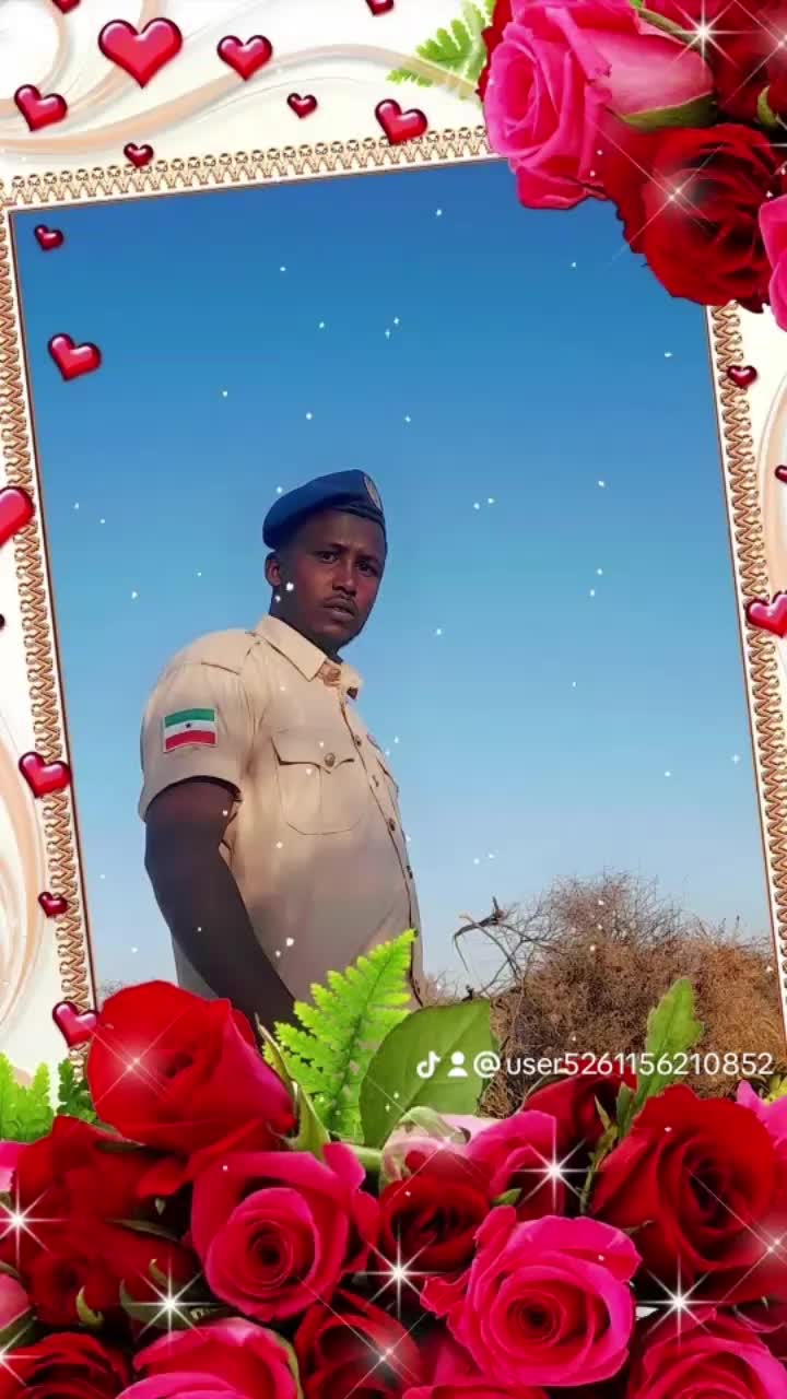 @user5261156210852