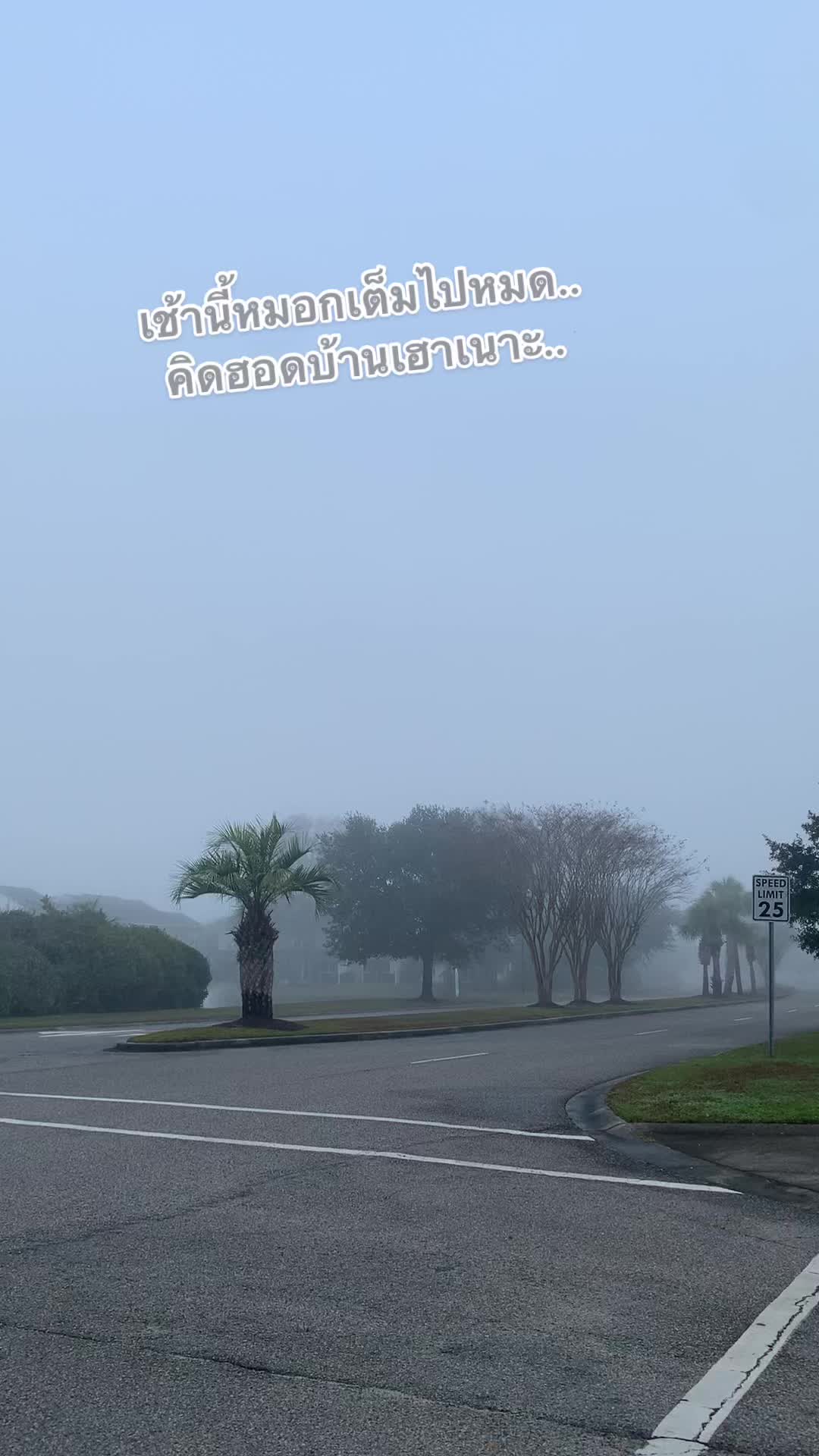 @bkotchamon