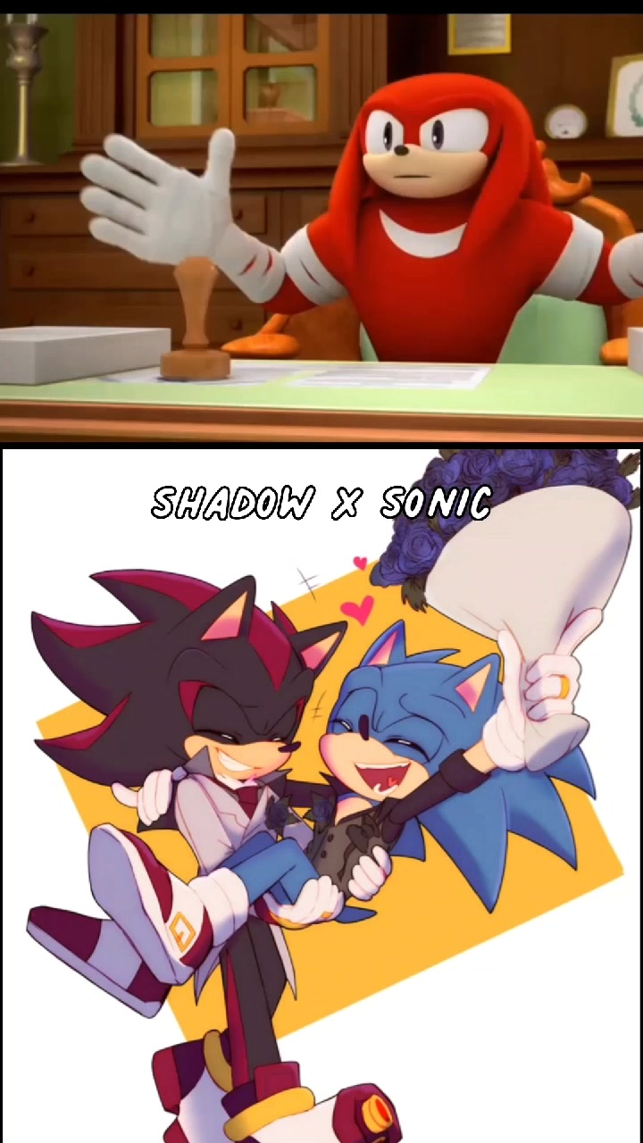 @sonic and shadow