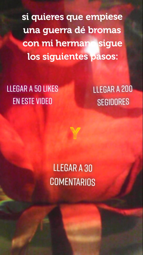 @Monica Arredondo