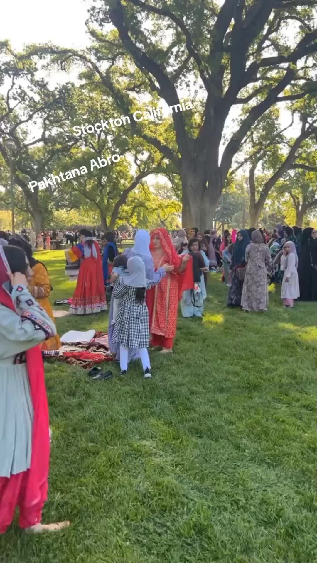 @Abro Pashtana 🇺🇸🥀🇦🇫