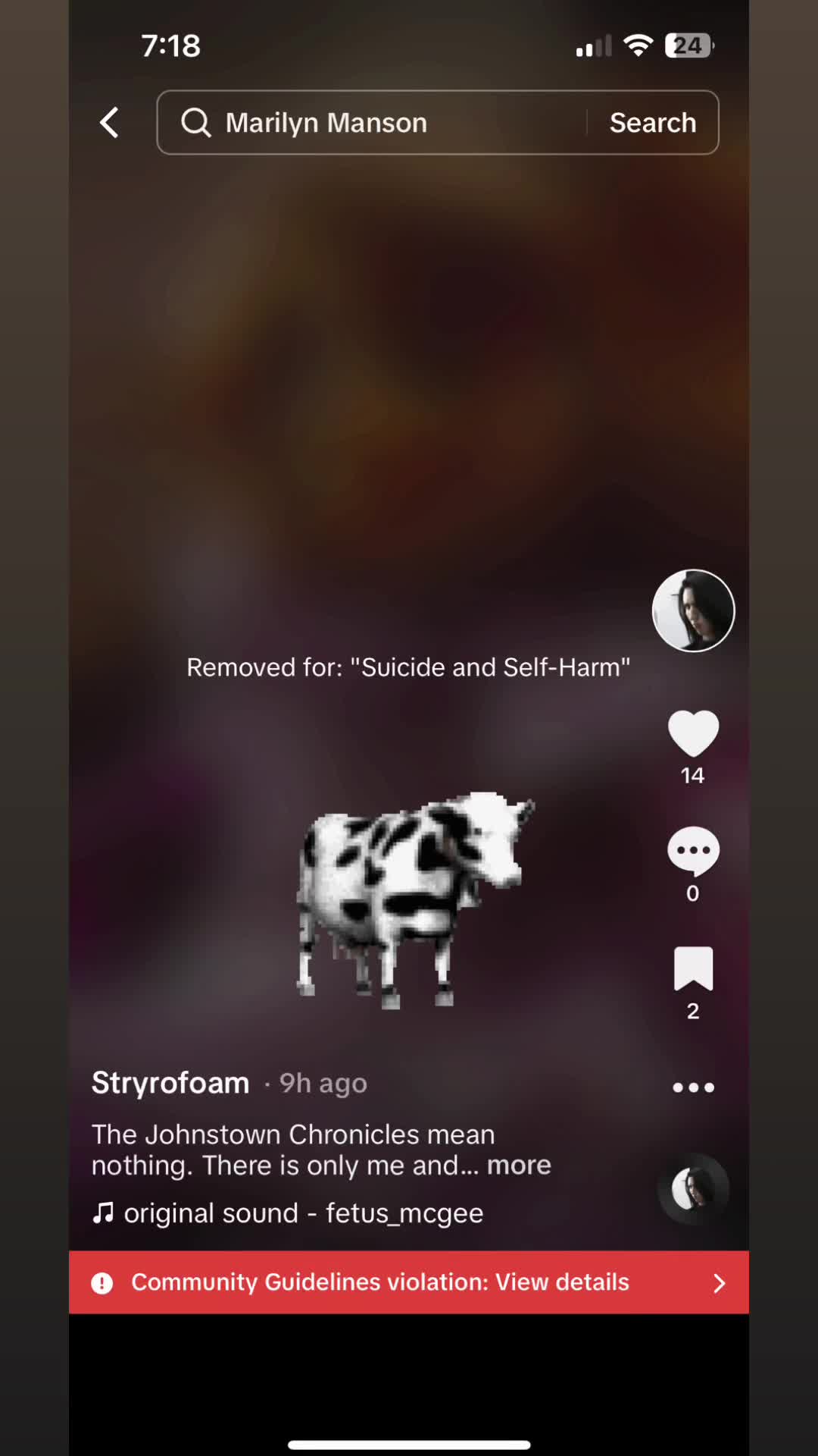 @Stryrofoam
