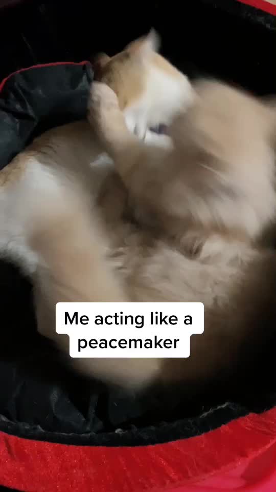 @Lucie Malsawmkimi