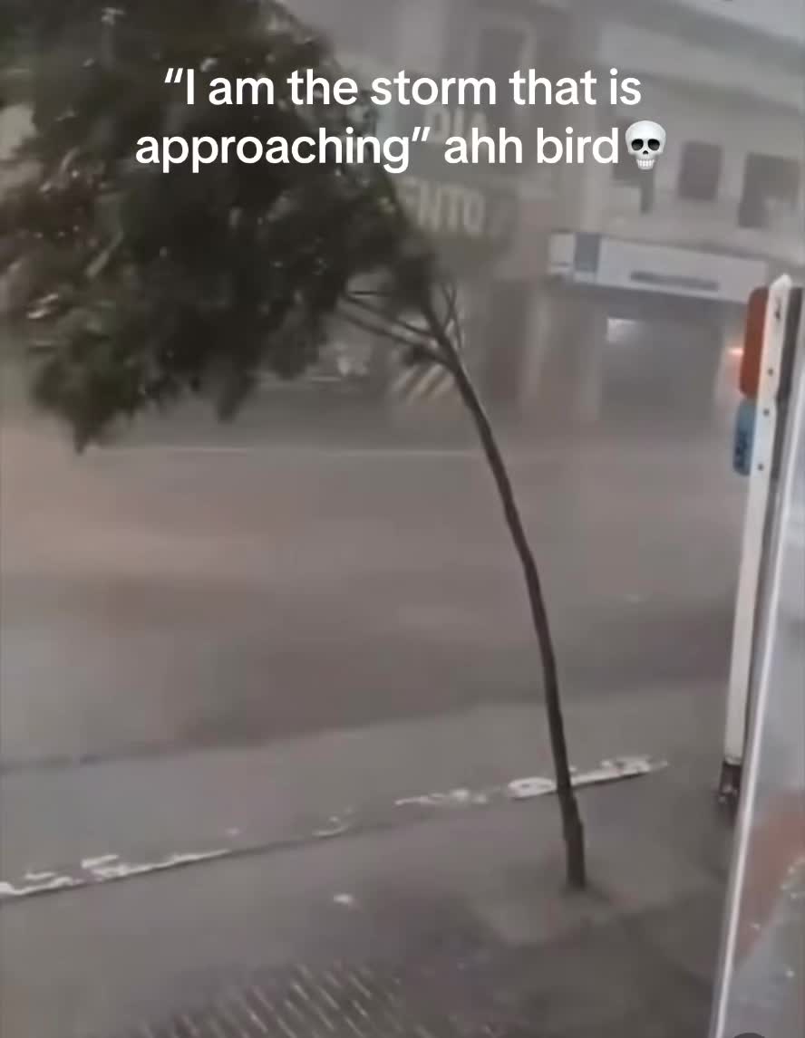 @Perfectly Timed Clips