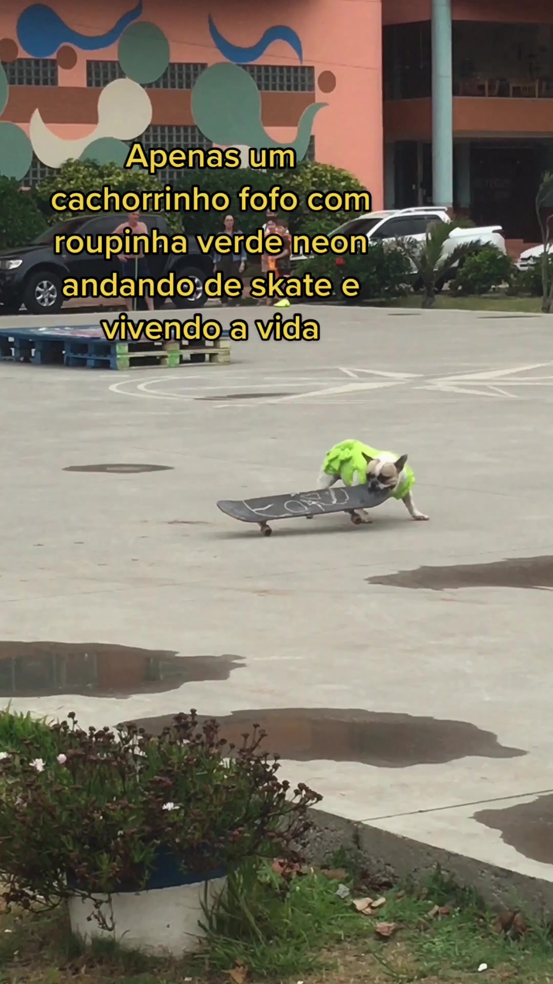 @Giovanna Barella