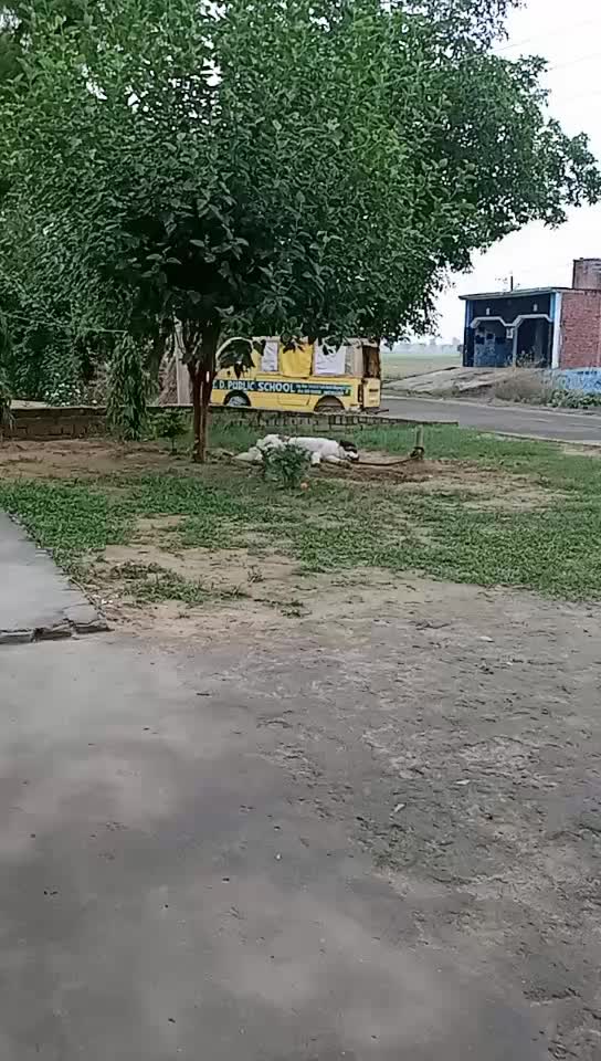 @Shubh Yadav249