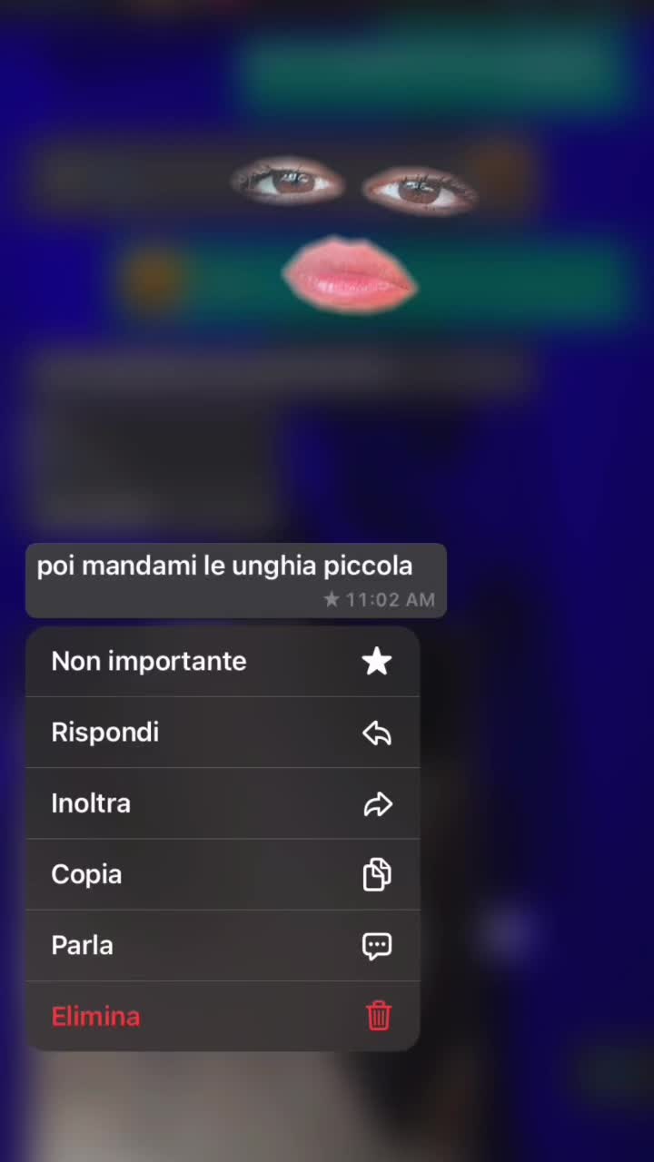 @sara guarci