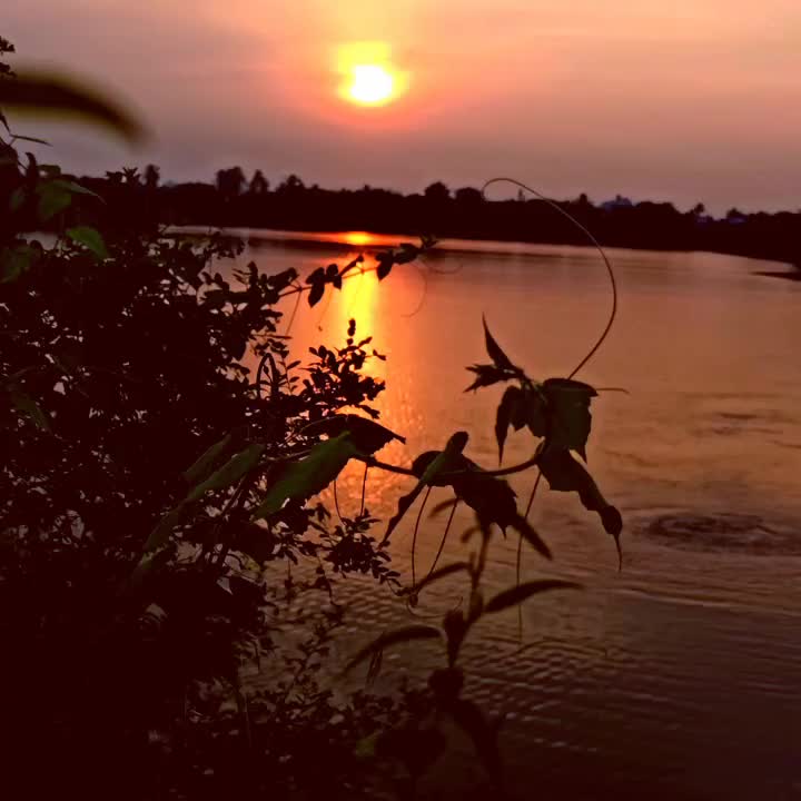 @Posukumar