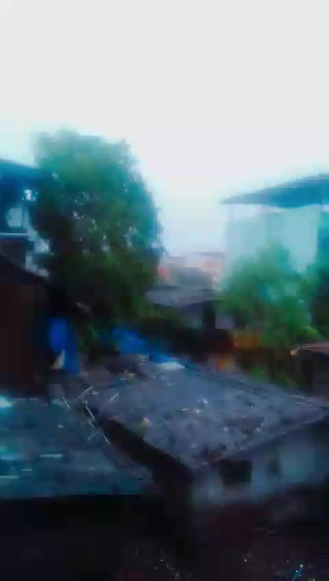 @piyu 143
