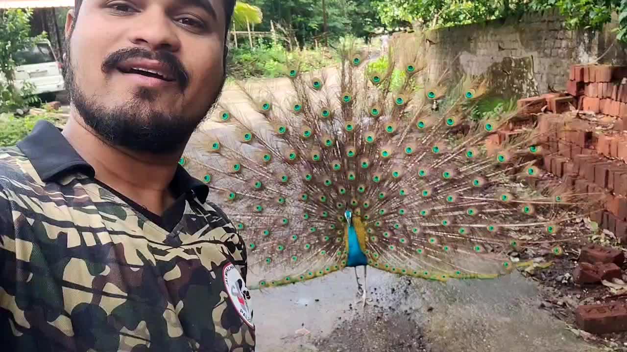 @Sagar Patil