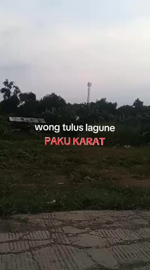 @tobrut