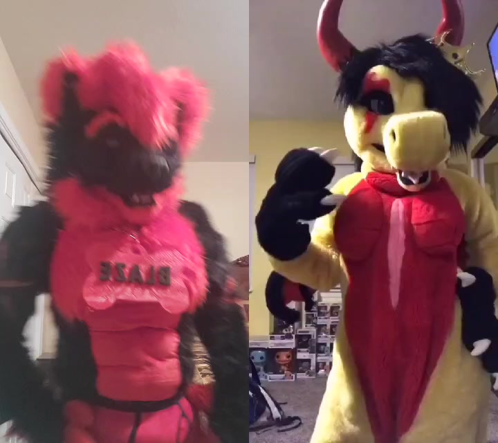 @Blaze Wolf