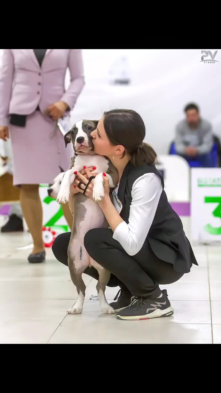 @🐕