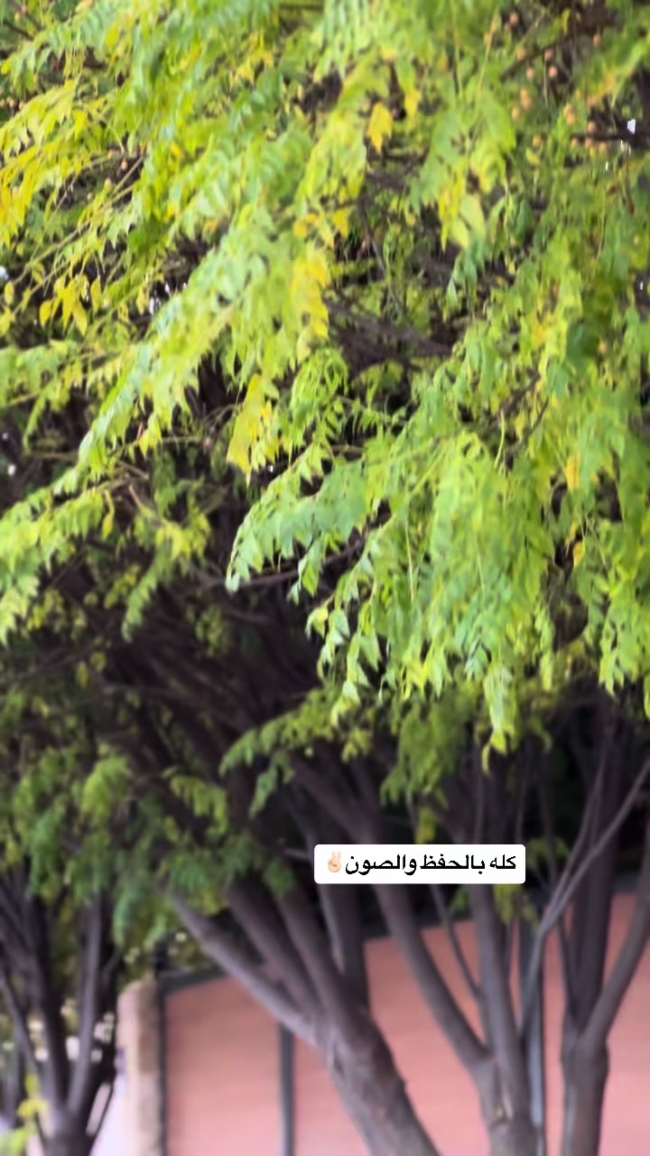 @Ahmad Alderabany