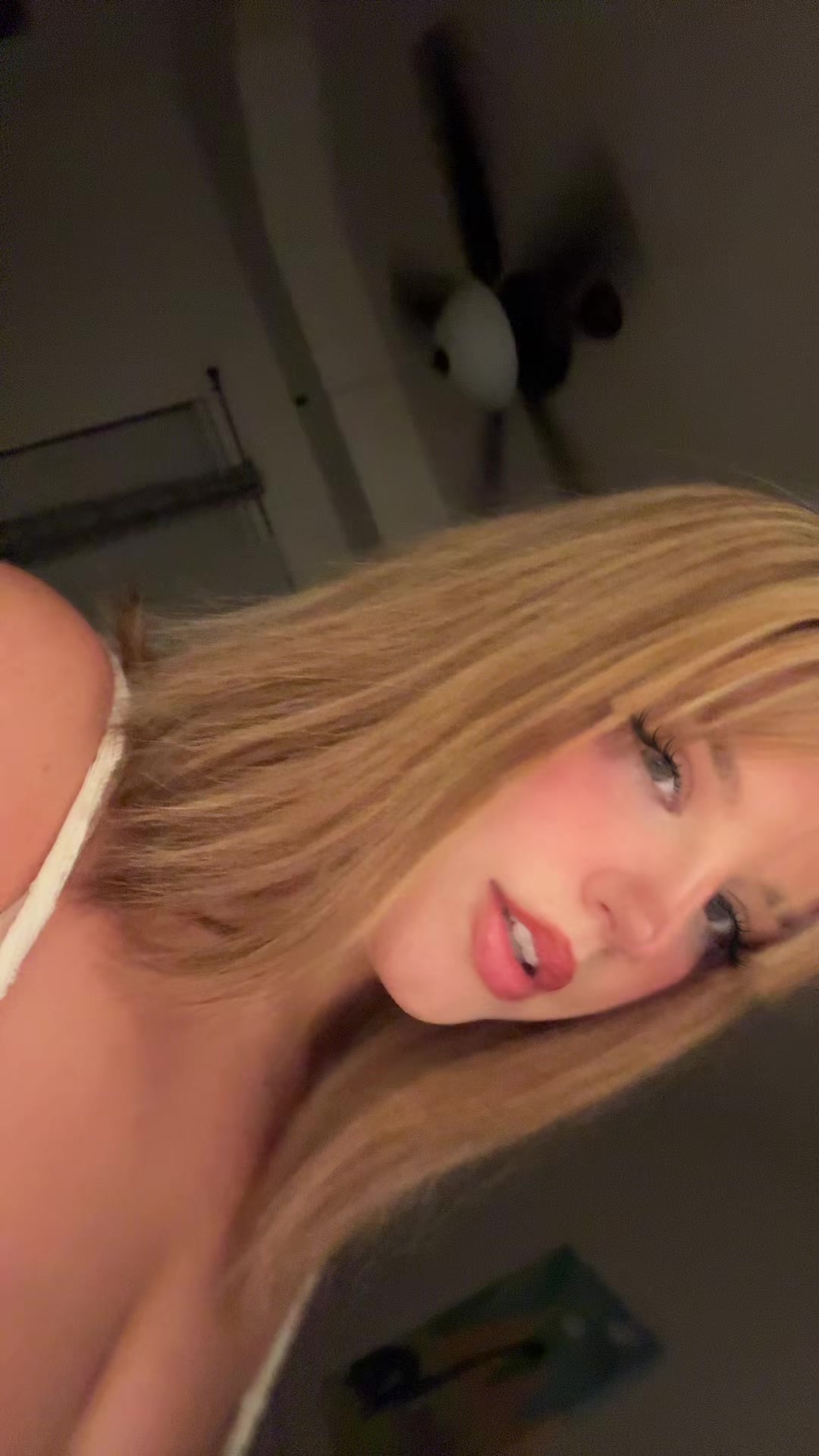 @Halz444