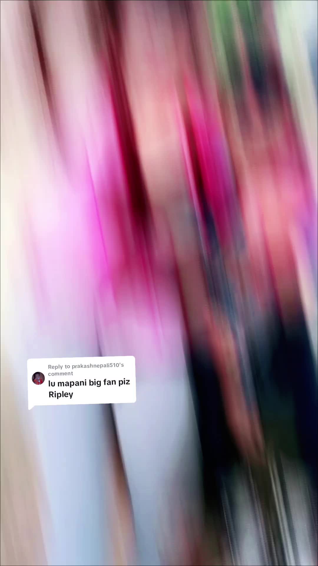 @muna muna12