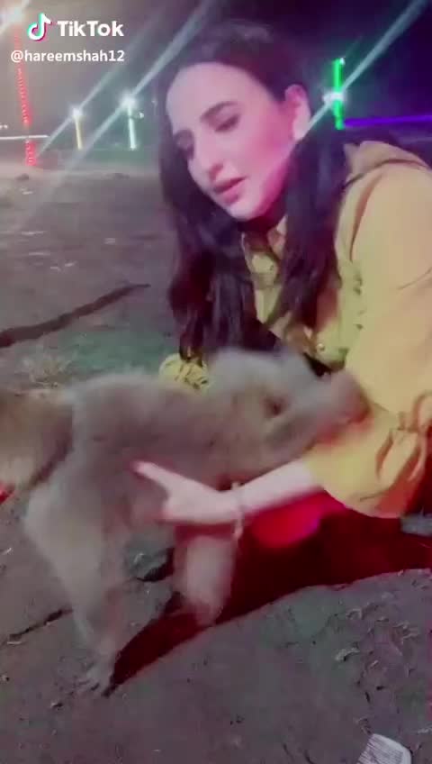 @abdullahkasmi803