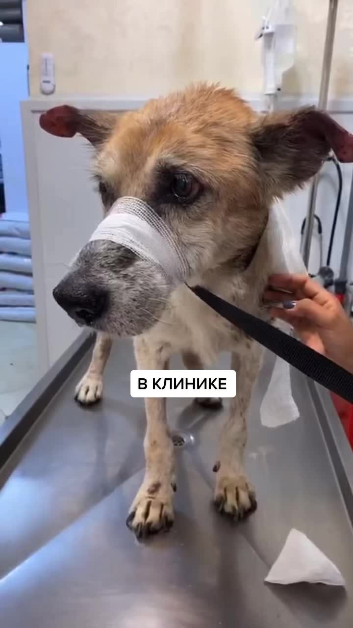 @Елена Белова