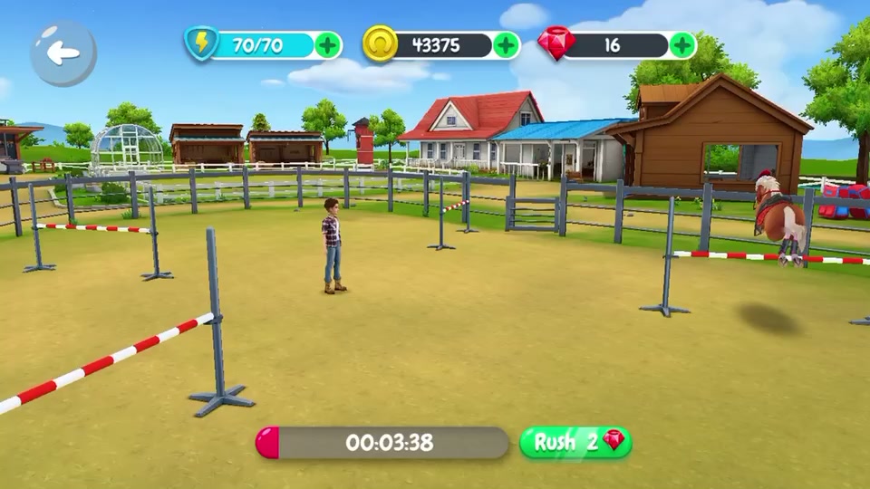 @My horse stories!❤️