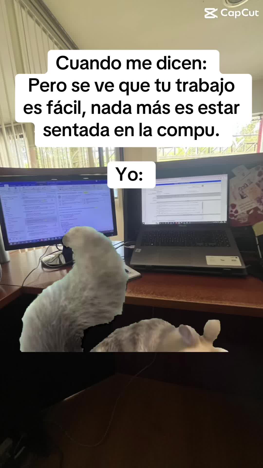 @Jess