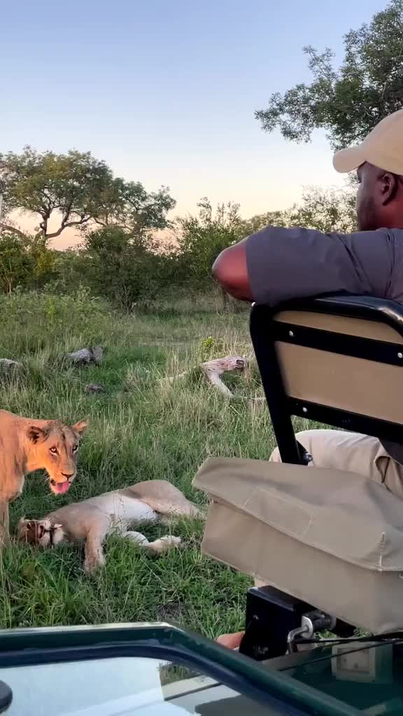 @Uncle Wa Safari