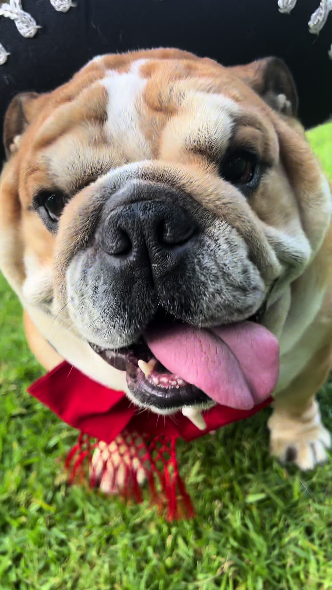 @Campeón Winston