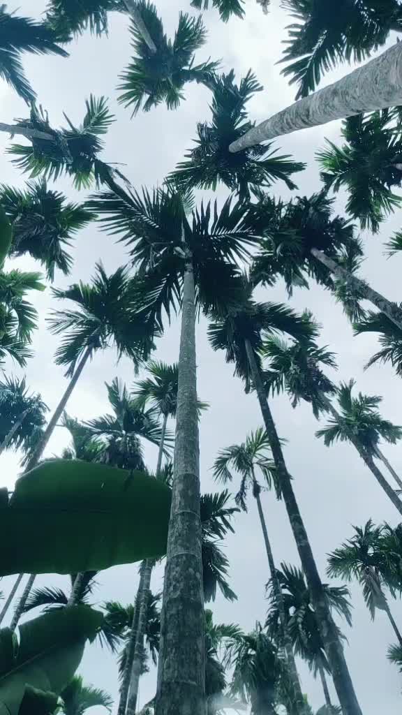 @user39573728752