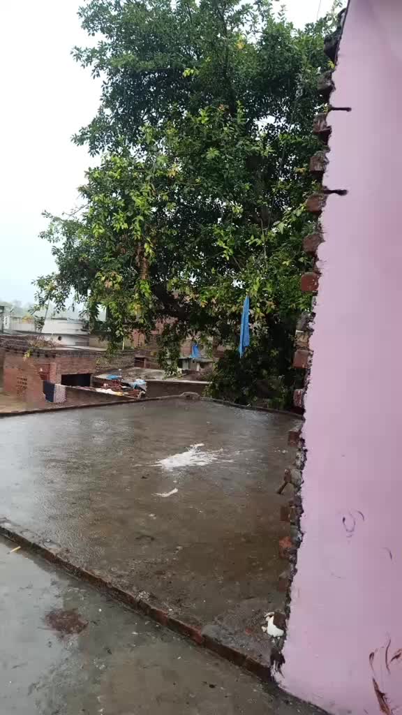 @Syed Afsar Hasan