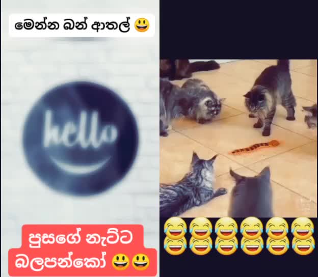 @`✈°•…_බට්ටා_…•°☸´