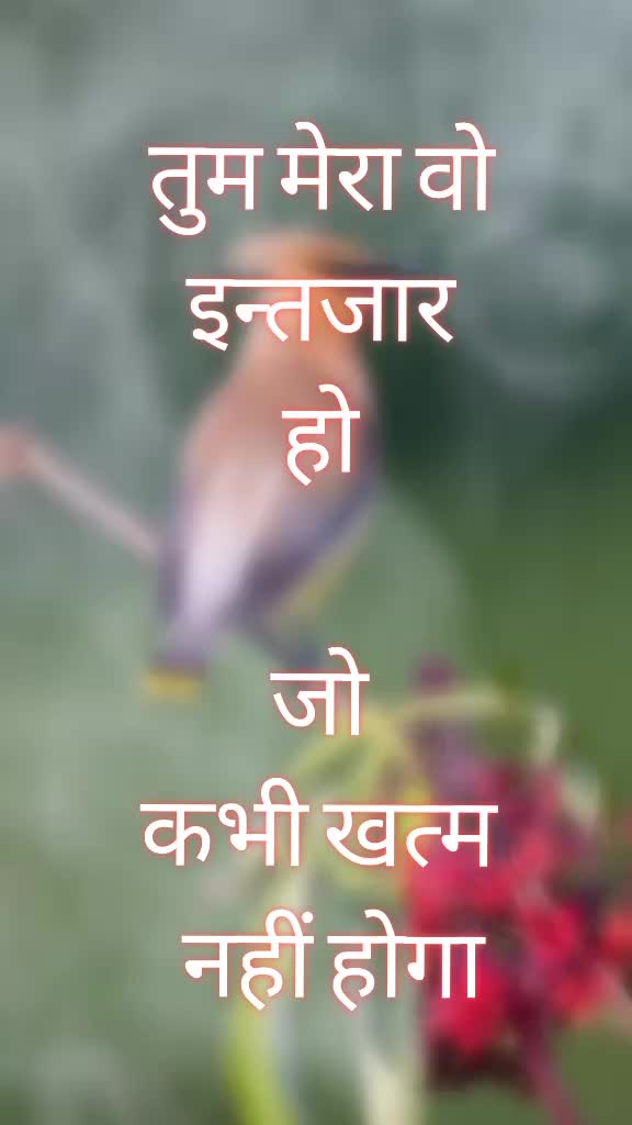 @D KUMAR