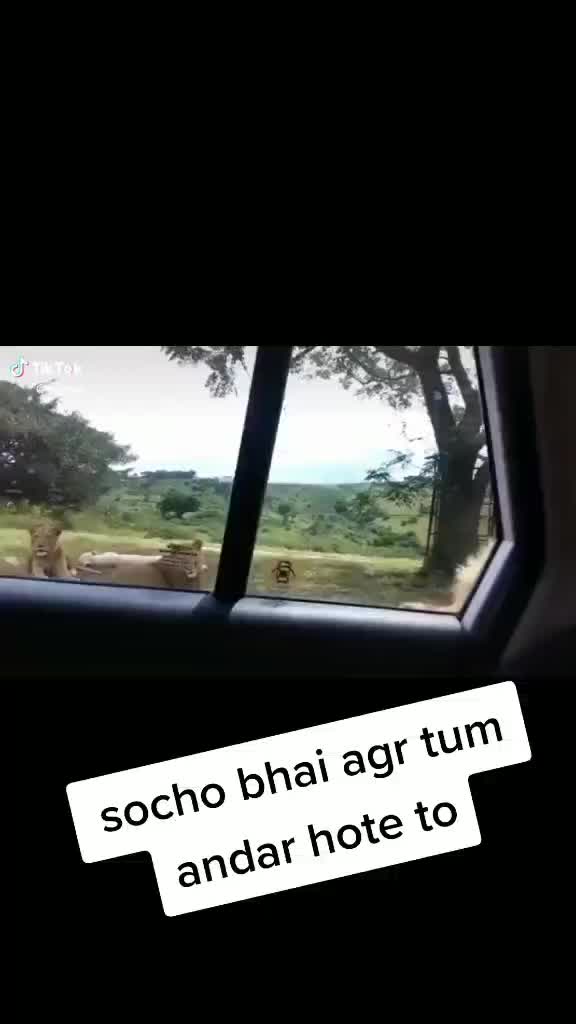 @Amardeep Vasuniya