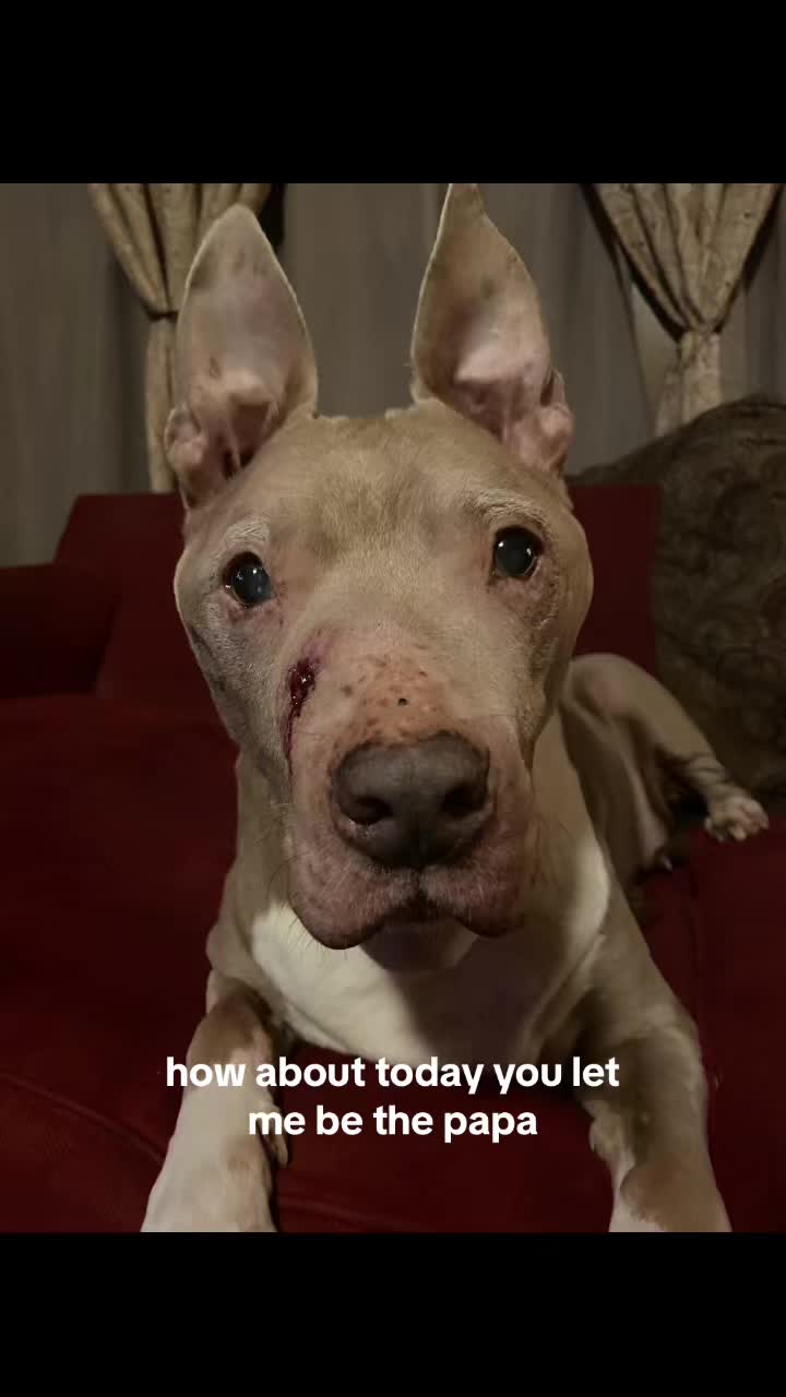 @angel