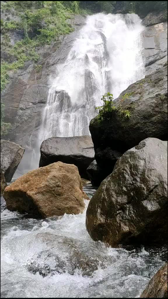 @Meenakshi Anirudhan