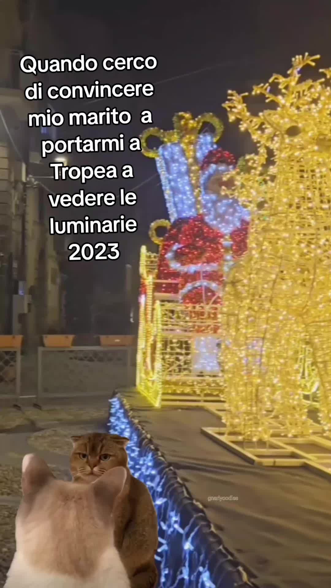 @Francesca Consolo