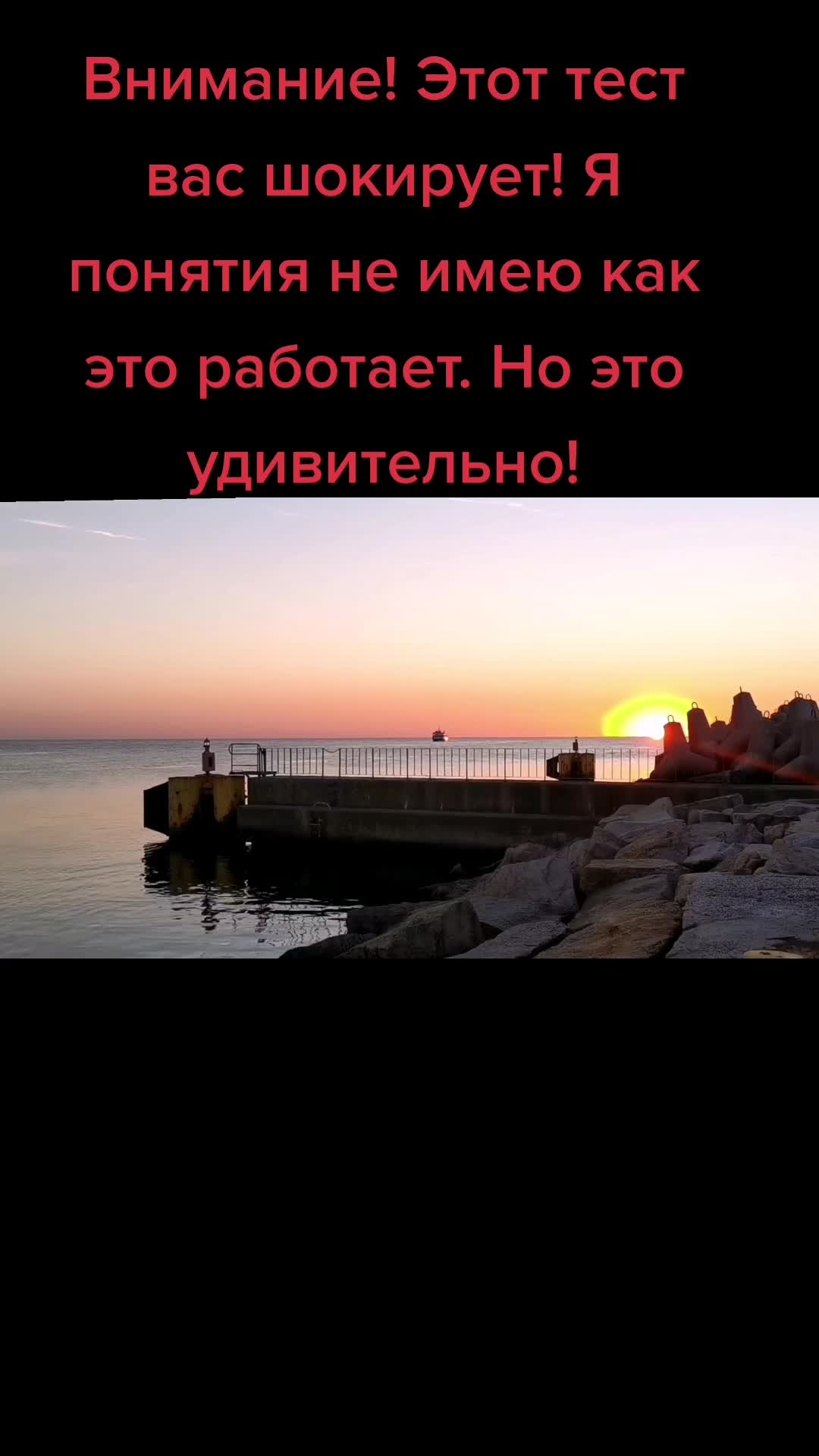 @Mariya&Co