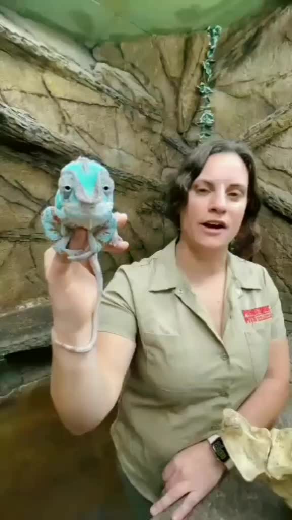 @Titan the Cat