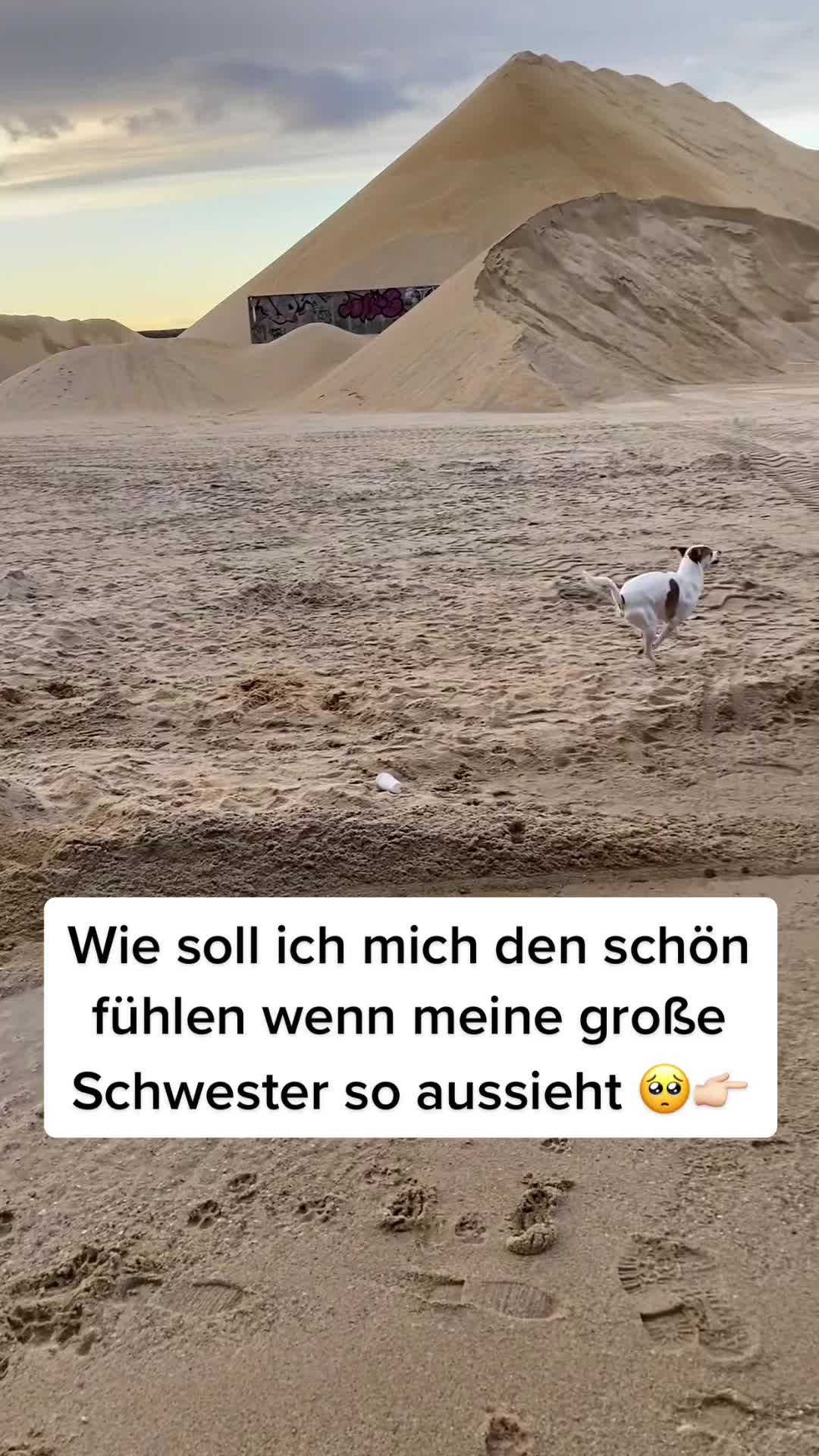 @Denise Kreppel