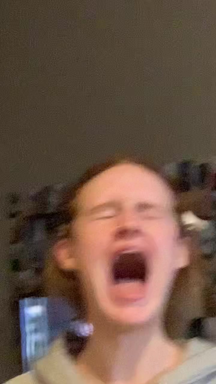 @lexitootle
