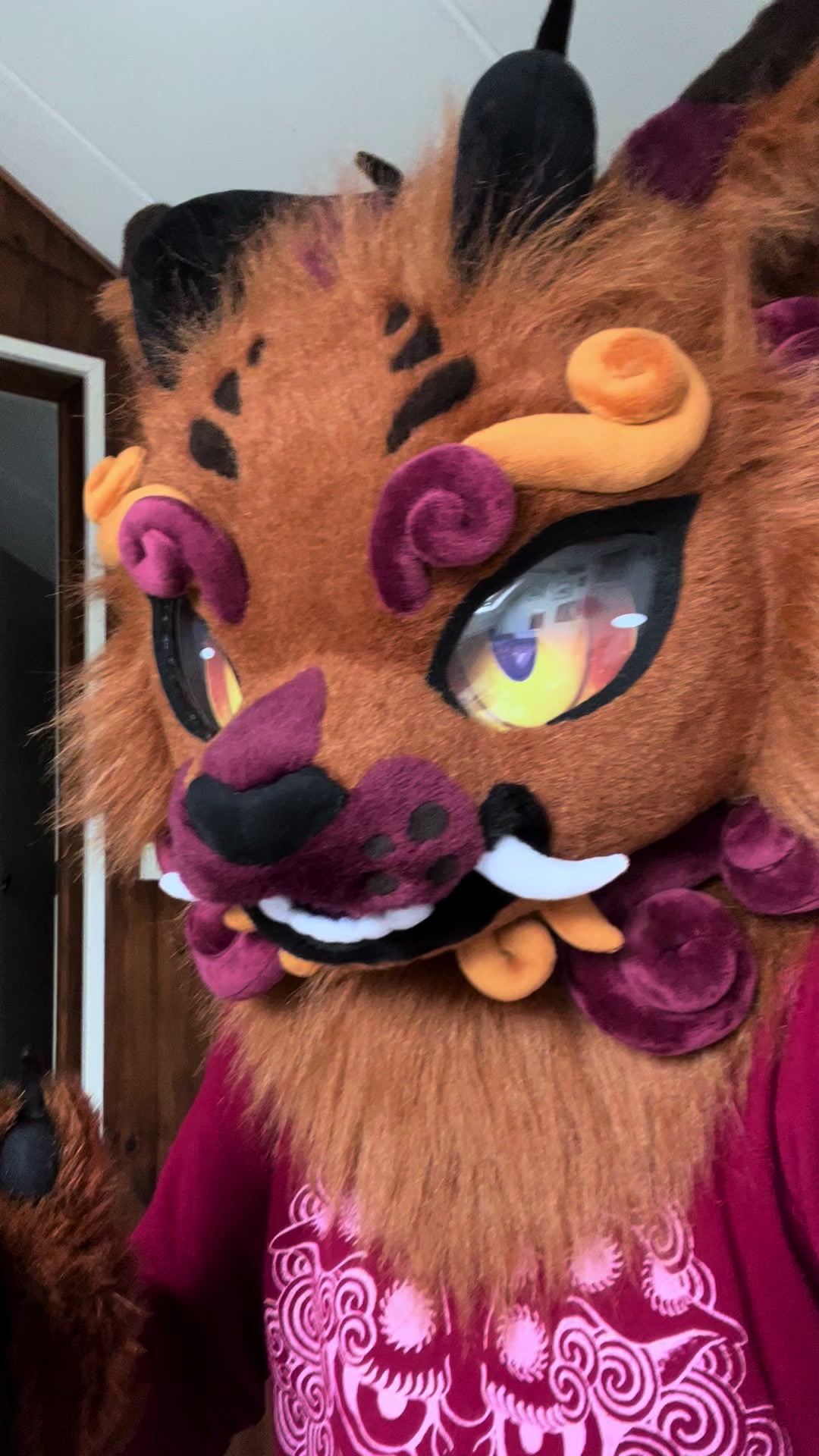 @Shangfudog