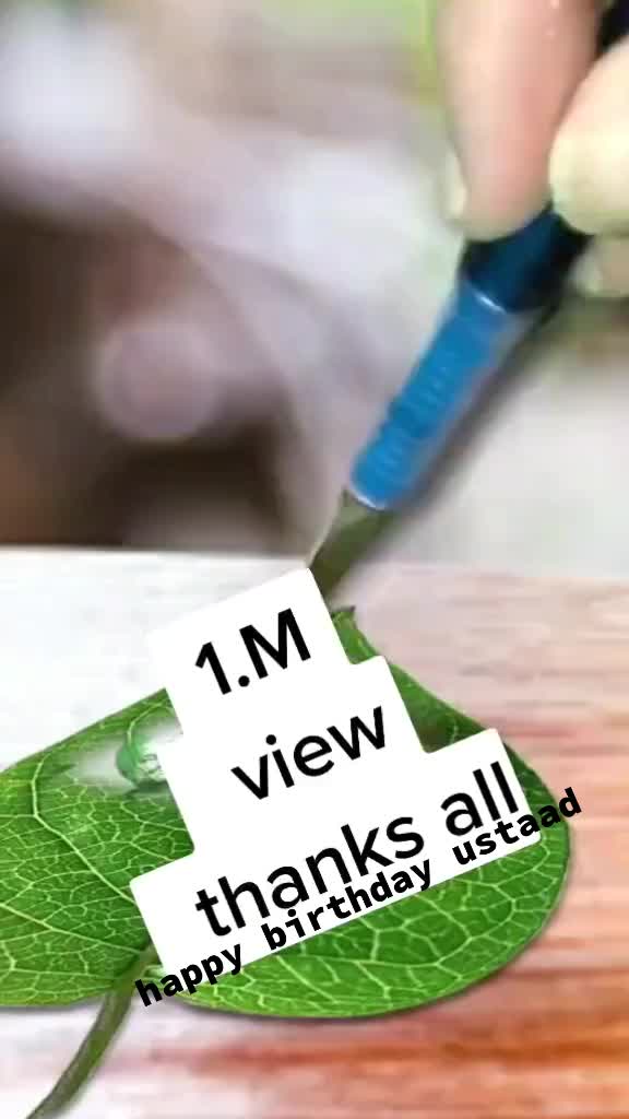 @offical_bawa