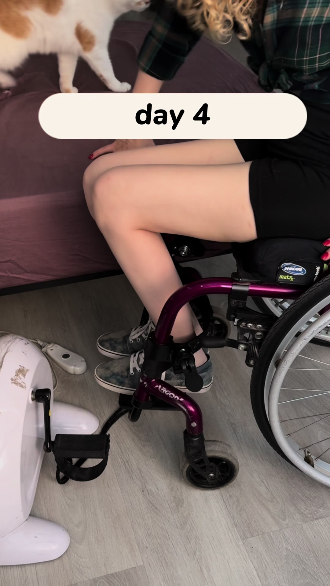 @Anfisa Wheel