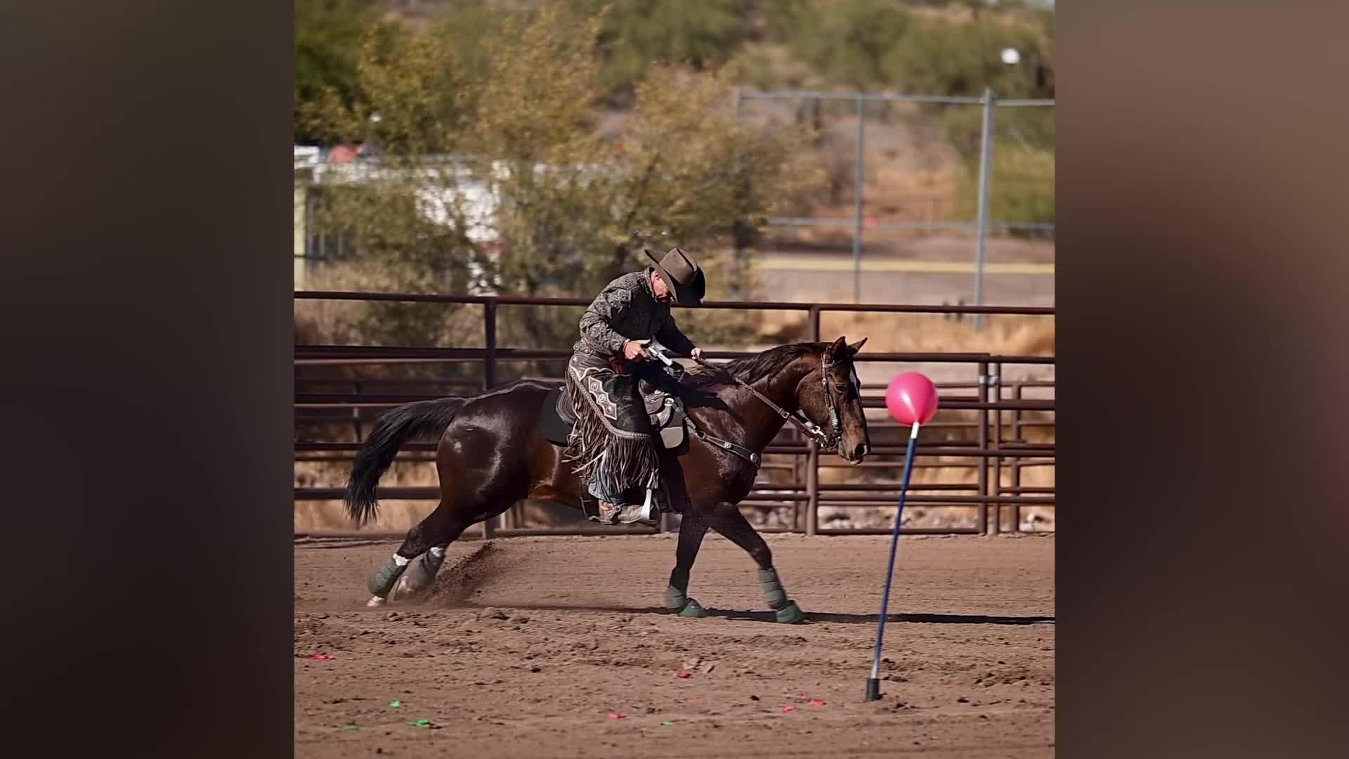 @steamdonkey