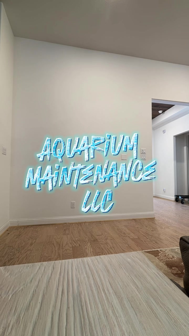 @aquarium_maintenance