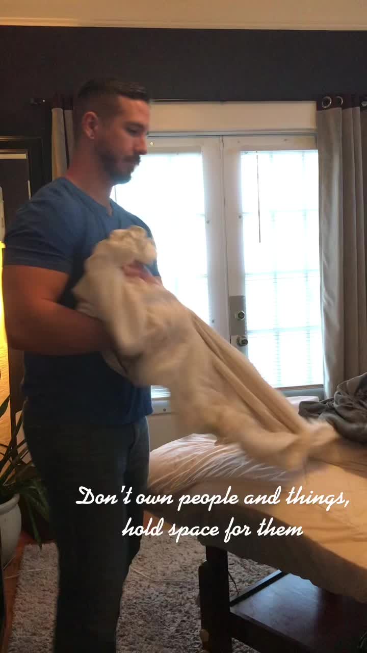 @WiseWolfGuru