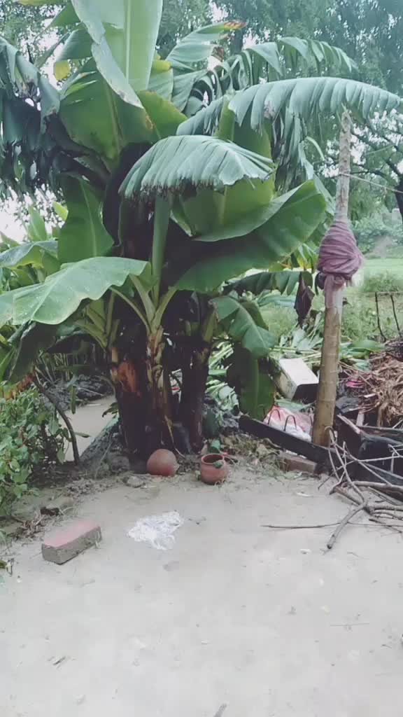 @Sanjeev kumar