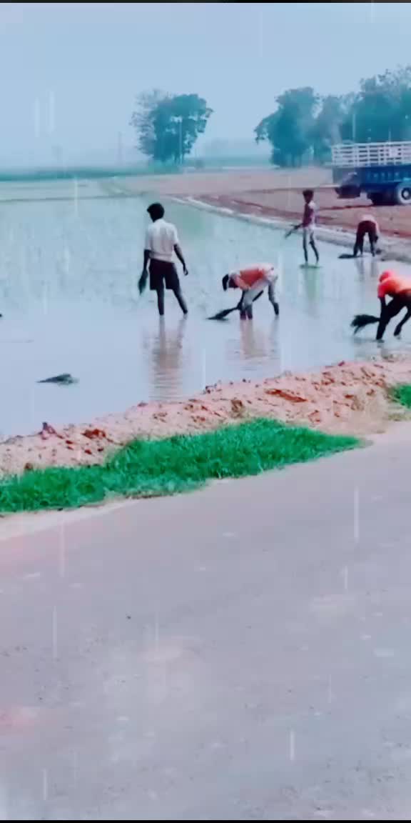 @𝕊𝕡 ℙ𝕒ℝ𝕕ℍ𝕒ℕ