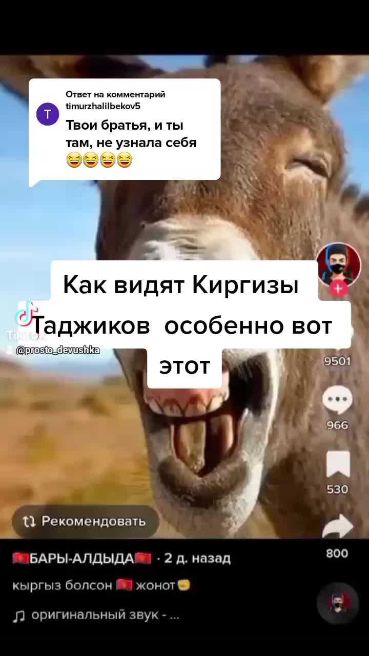 @Prosto Devushka