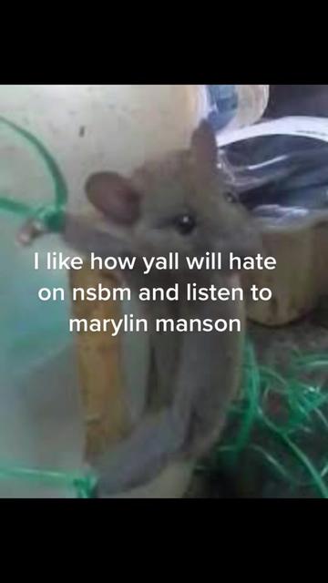 @✠7✠