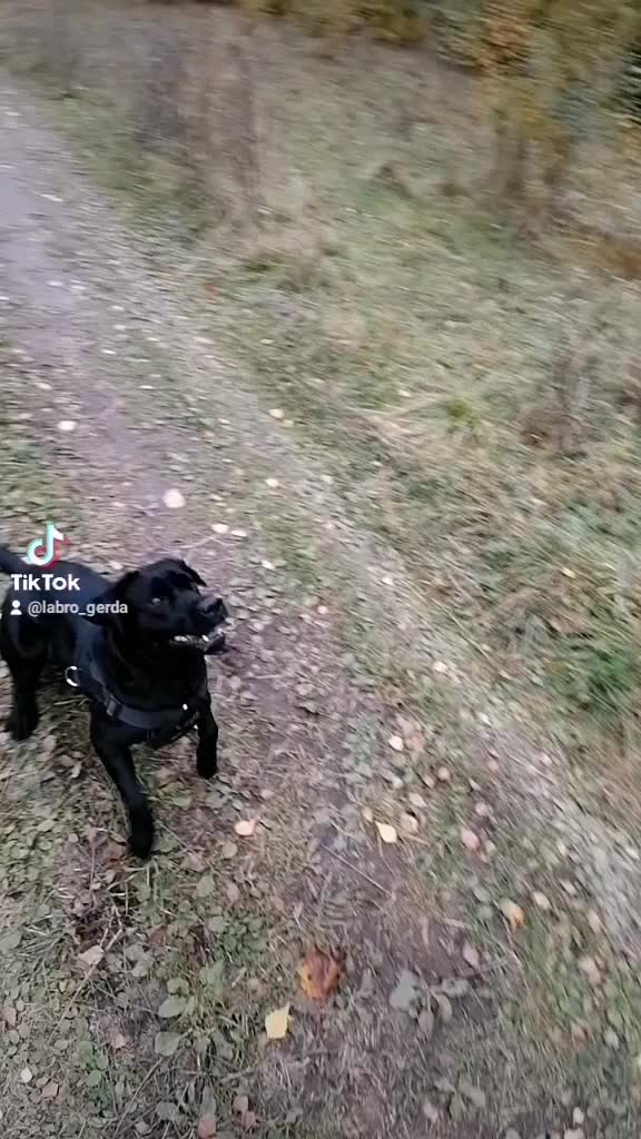 @Герда